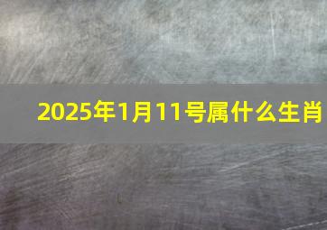 2025年1月11号属什么生肖