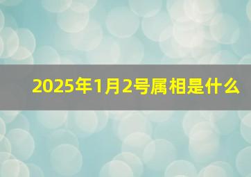 2025年1月2号属相是什么