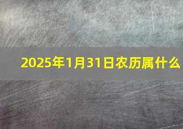 2025年1月31日农历属什么