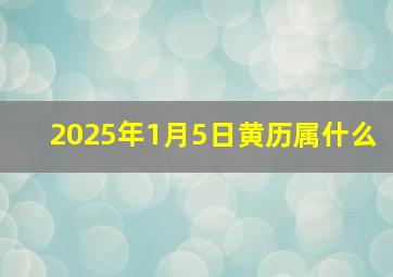 2025年1月5日黄历属什么