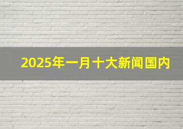 2025年一月十大新闻国内