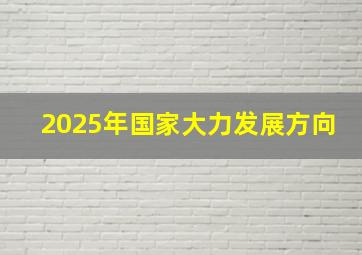 2025年国家大力发展方向