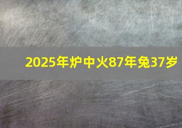 2025年炉中火87年兔37岁