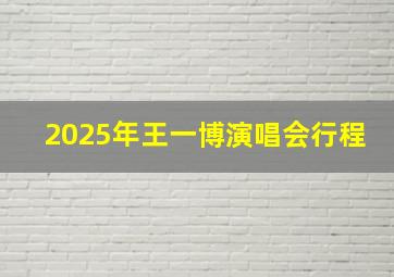 2025年王一博演唱会行程