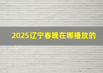 2025辽宁春晚在哪播放的