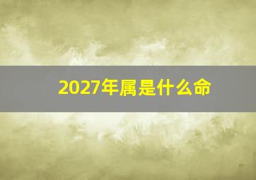 2027年属是什么命