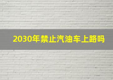 2030年禁止汽油车上路吗