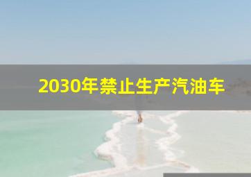 2030年禁止生产汽油车