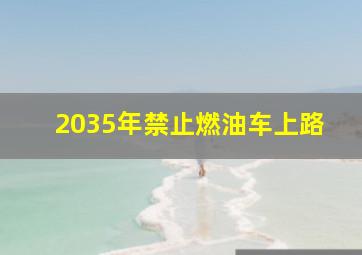 2035年禁止燃油车上路