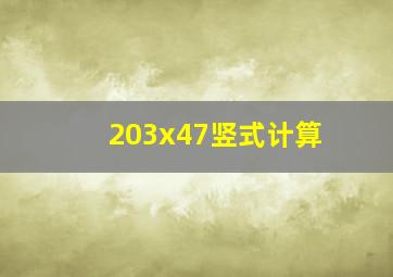 203x47竖式计算