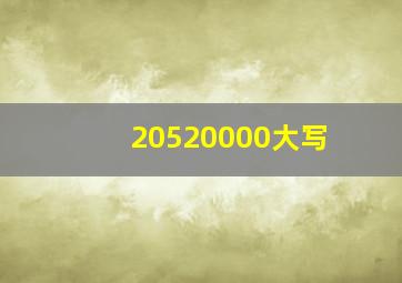 20520000大写