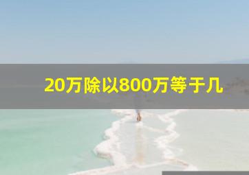 20万除以800万等于几