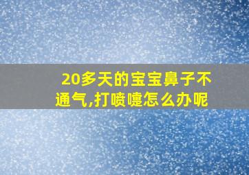 20多天的宝宝鼻子不通气,打喷嚏怎么办呢