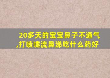 20多天的宝宝鼻子不通气,打喷嚏流鼻涕吃什么药好