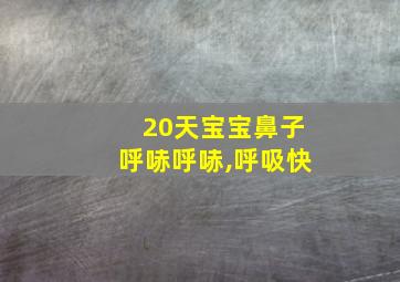 20天宝宝鼻子呼哧呼哧,呼吸快