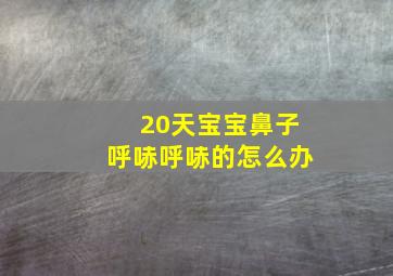 20天宝宝鼻子呼哧呼哧的怎么办