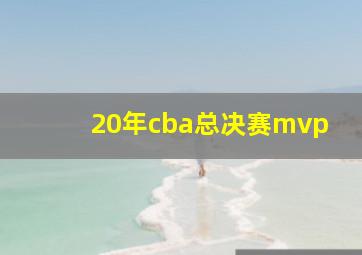 20年cba总决赛mvp