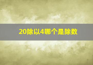 20除以4哪个是除数