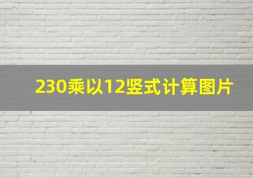 230乘以12竖式计算图片