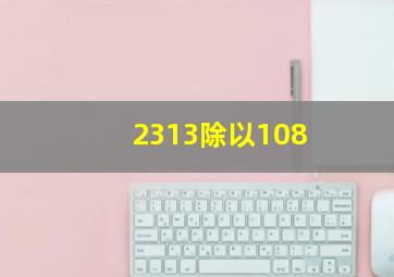 2313除以108