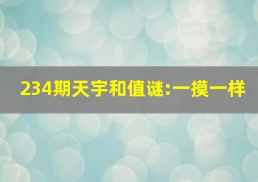 234期天宇和值谜:一摸一样