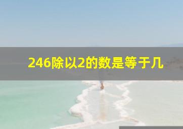 246除以2的数是等于几