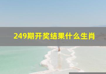 249期开奖结果什么生肖