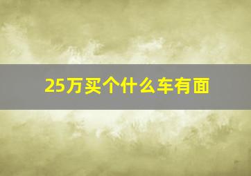 25万买个什么车有面