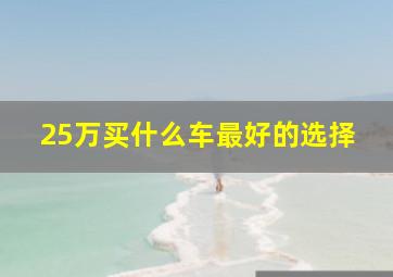 25万买什么车最好的选择