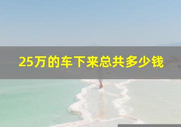 25万的车下来总共多少钱