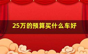 25万的预算买什么车好