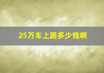 25万车上路多少钱啊