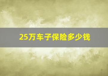 25万车子保险多少钱