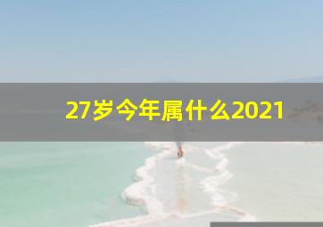 27岁今年属什么2021