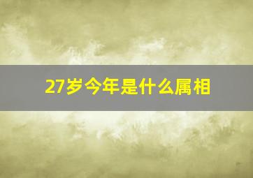 27岁今年是什么属相