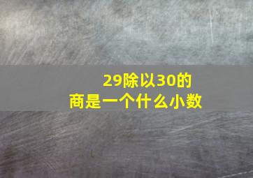 29除以30的商是一个什么小数