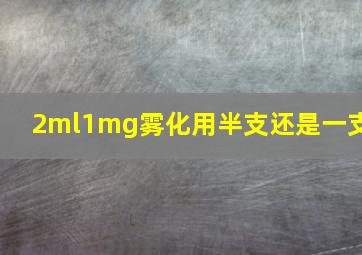 2ml1mg雾化用半支还是一支