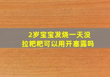 2岁宝宝发烧一天没拉粑粑可以用开塞露吗