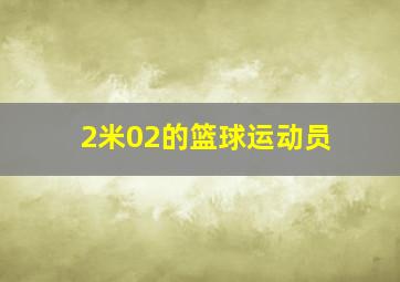 2米02的篮球运动员