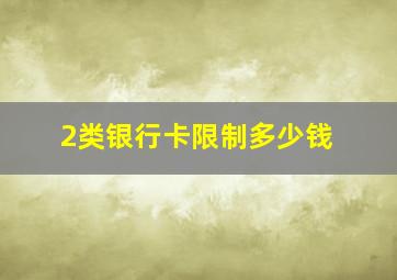 2类银行卡限制多少钱