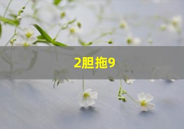 2胆拖9