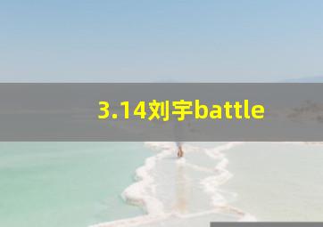 3.14刘宇battle