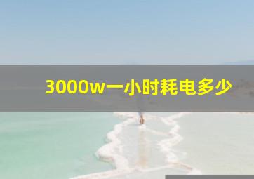 3000w一小时耗电多少