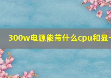 300w电源能带什么cpu和显卡