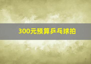 300元预算乒乓球拍