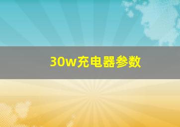 30w充电器参数