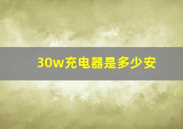 30w充电器是多少安