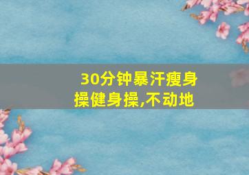 30分钟暴汗瘦身操健身操,不动地