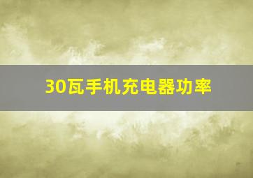 30瓦手机充电器功率