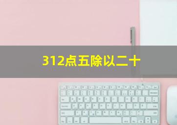 312点五除以二十